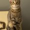 SHELDON