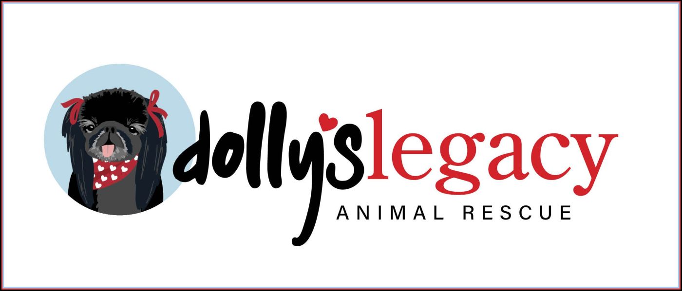Dollys Legacy Animal Rescue – Over 3,500 Lives Saved!