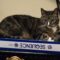 PICKLES & HAZE – Bonded Duo!