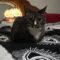 PICKLES & HAZE – Bonded Duo!