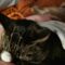 PICKLES & HAZE – Bonded Duo!