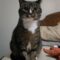 PICKLES & HAZE – Bonded Duo!