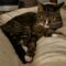 PICKLES & HAZE – Bonded Duo!