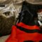 PICKLES & HAZE – Bonded Duo!