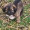 GIMLI