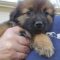 GIMLI