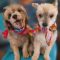 SUNNY & CELESTE