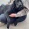 OAKLEY