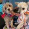 SUNNY & CELESTE