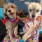 SUNNY & CELESTE