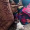 PEARL – Siamese