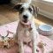 LILLY – MEDICAL HOLD